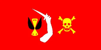 Bandera Pirata