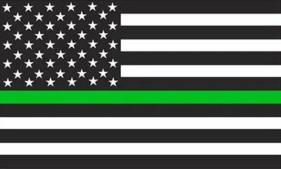 Bandera thin line verde
