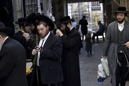 Haredim